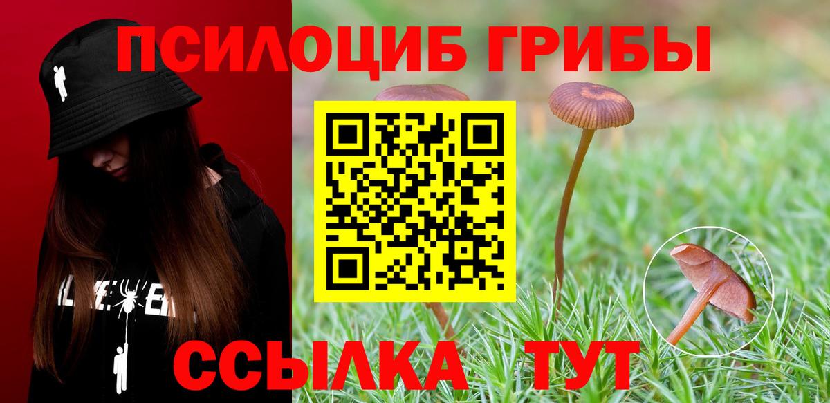 Галлюциногенные грибы Psilocybine cubensis  Галлюциногенные грибы прущие грибы  Люберцы  Вход с VPN 